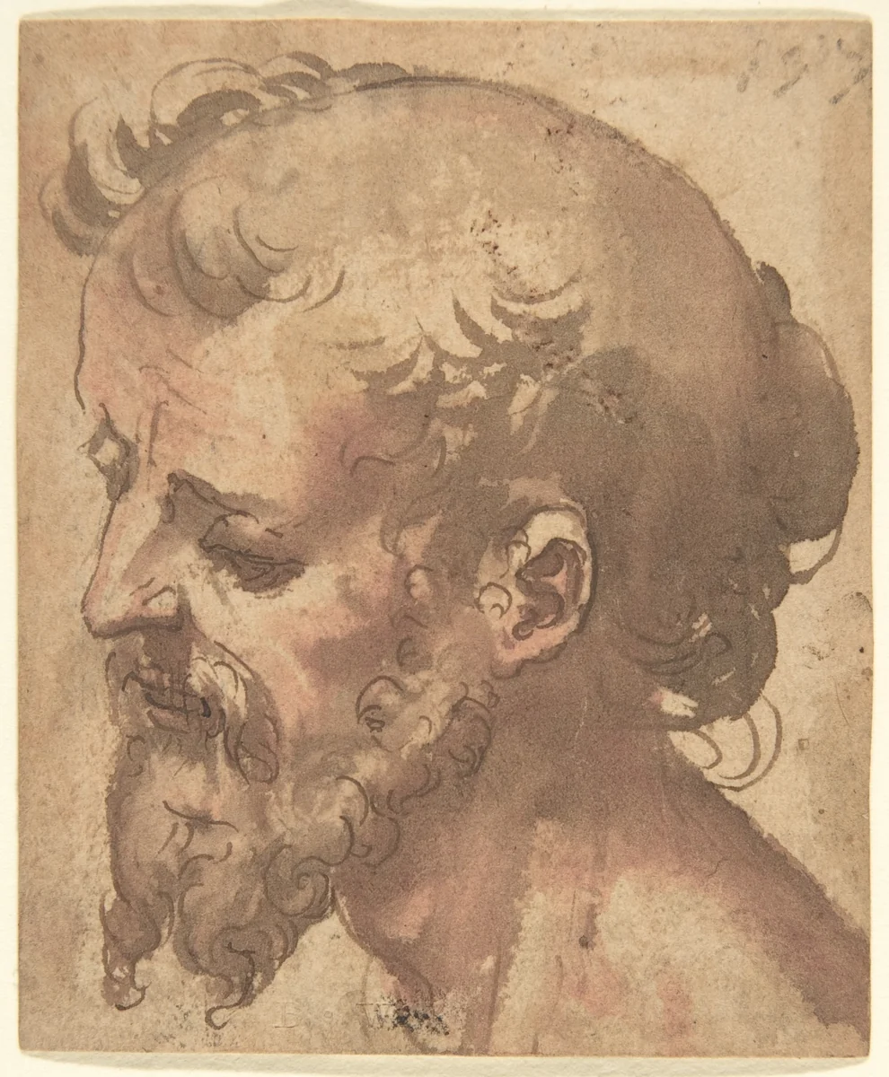 Head of a Bearded Man by anonymous, drawing, 1500-1550