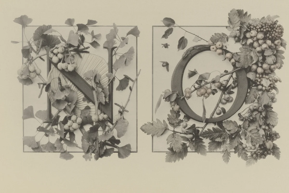 Page from Festons und Dekorative Gruppen by Unidentified Photographer, photograph, 1893