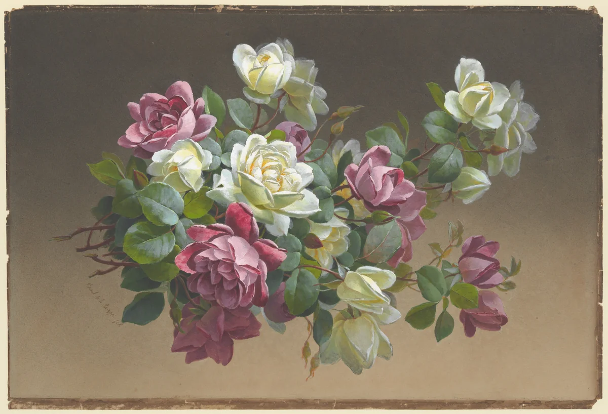 Flowers: Roses by Paul de Longpré, drawing, 1875-1911