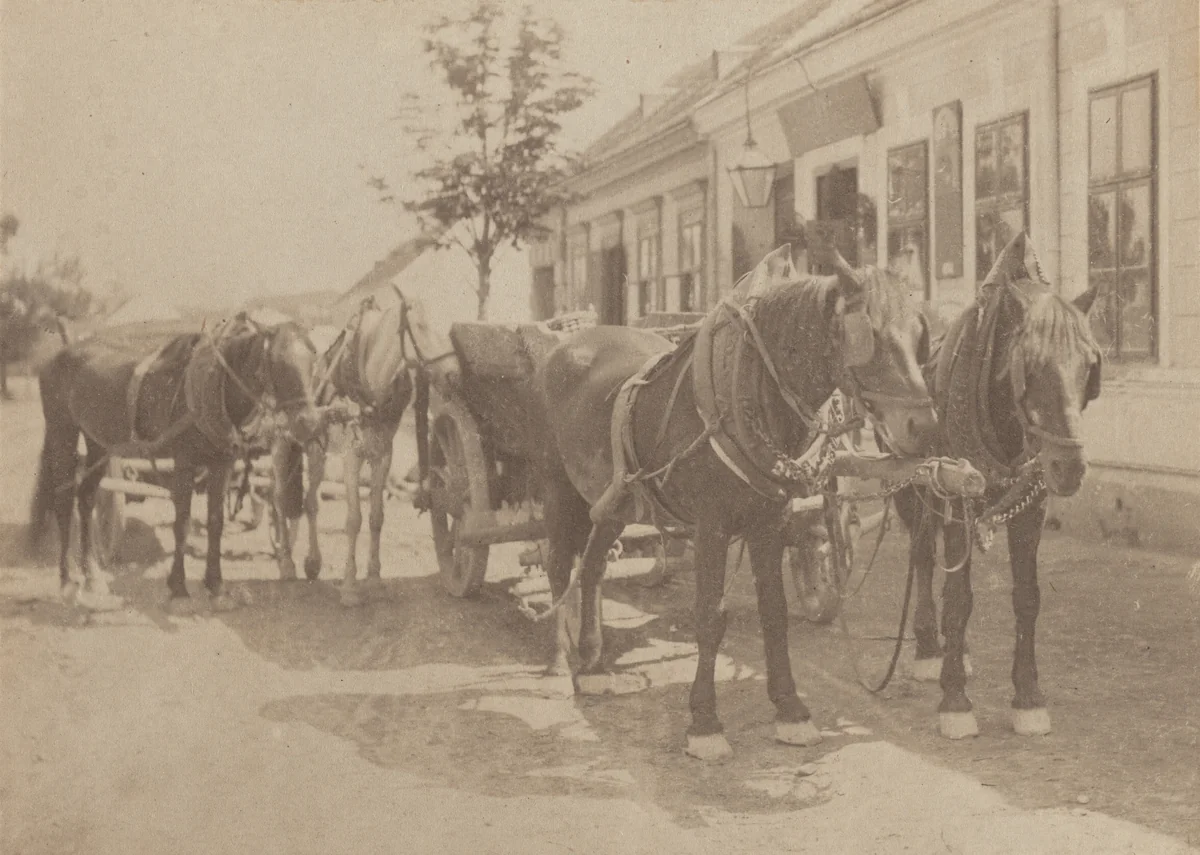 Before the Tavern by Alfred Stieglitz, photograph, 1890