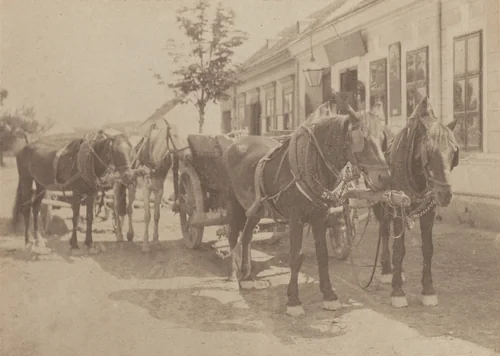 Before the Tavern by Alfred Stieglitz, photograph, 1890