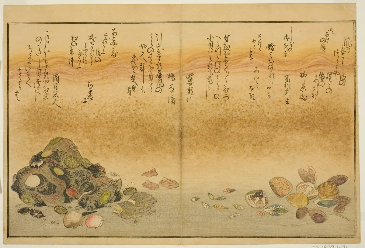 Ashi-gai, hamaguri, ko-gai, suzume-gai, akoya-gai, and katashi-gai, from the illustrated book "Gifts from the Ebb Tide (Shiohi no tsuto)" by Kitagawa Utamaro (喜多川歌麿), print, 1789