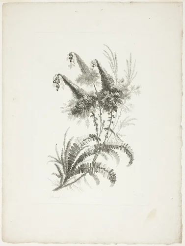 Bouquet, from Collection of New Flowers of Taste for the Manufacture of Persian Cloth, Invented and Drawn by Jean Pillement by Johann Heinrich Hess, print, 1765-1770