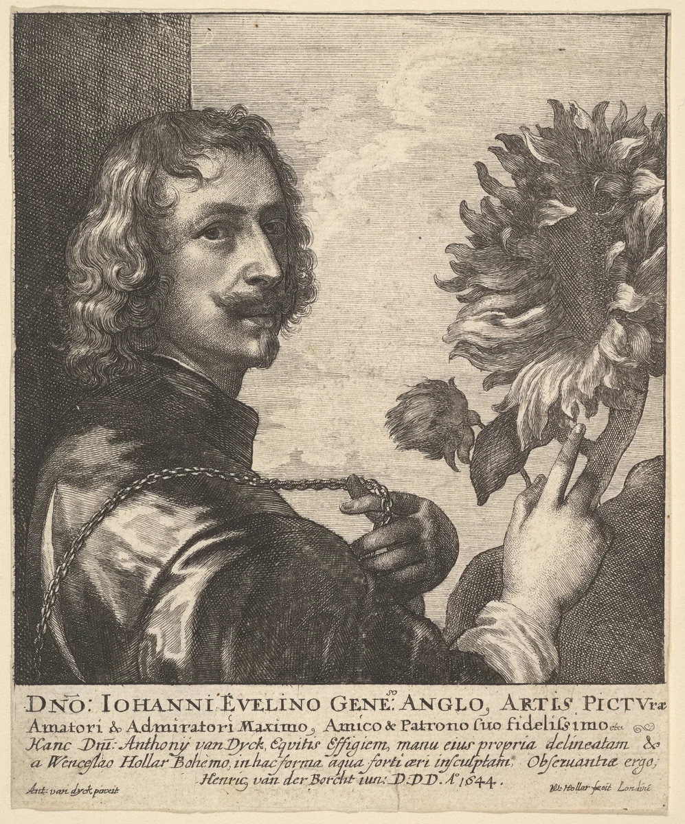 Sir Anthony Van Dyck with a Sunflower by Wenceslaus Hollar, print, 1644