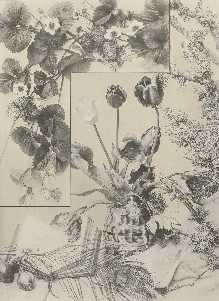 Page from Festons und Dekorative Gruppen by Unidentified Photographer, photograph, 1893