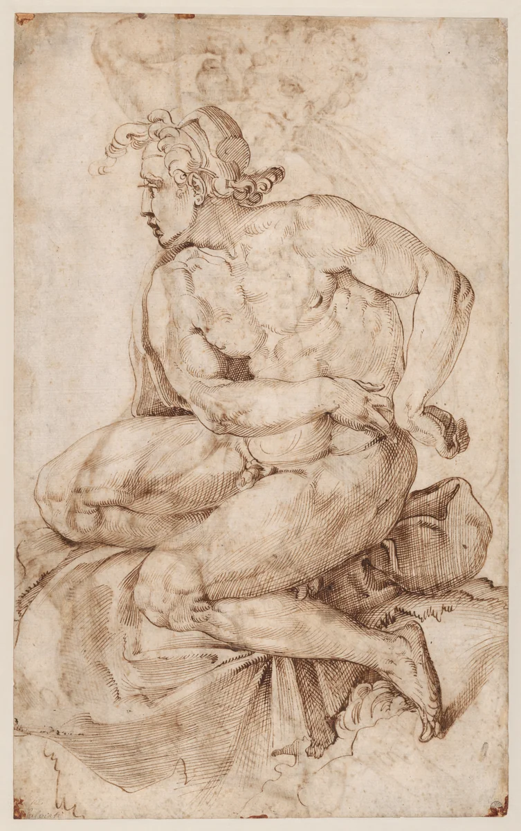 Seated Nude Youth, facing left (recto); Bearded Nude Male Figure in a Half-Kneeling Pose, Holding Drapery Behind his Back (verso) by Francesco Salviati, drawing, 1526-1527