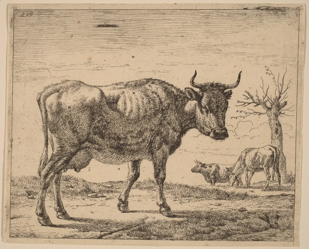 Three Cows by Adriaen van de Velde, print, 1657-1659
