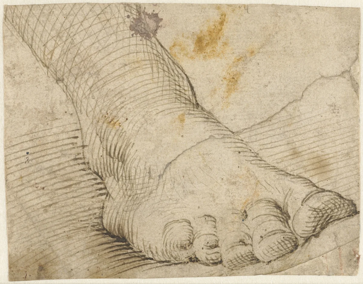 Studie van een rechtervoet, schuin van voren by Unknown, drawing, 1567-1602