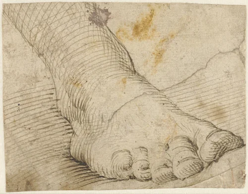 Studie van een rechtervoet, schuin van voren by Unknown, drawing, 1567-1602