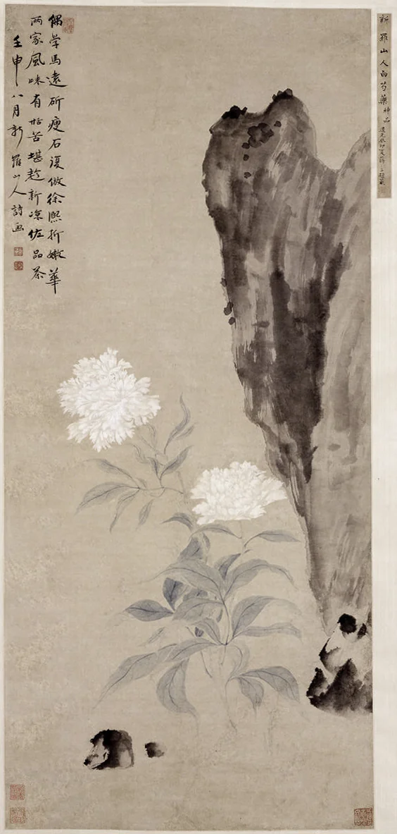 White Peony and Rocks by Hua Yan, painting, 1752