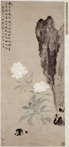 White Peony and Rocks by Hua Yan, painting, 1752