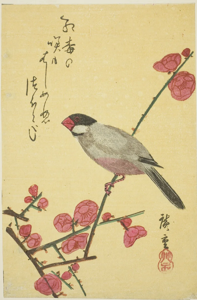 Java sparrow on plum branch by Utagawa Hiroshige (歌川広重), print, 1830-1839