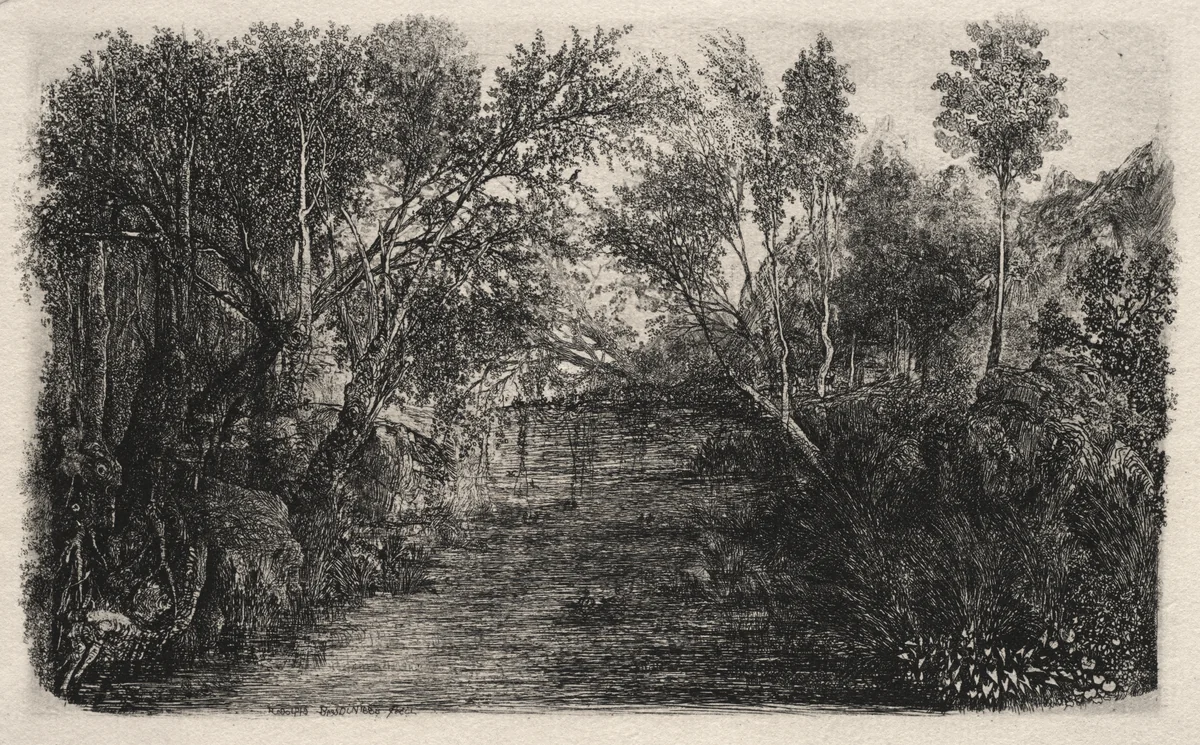 The Stream by Rodolphe Bresdin, print, 1880