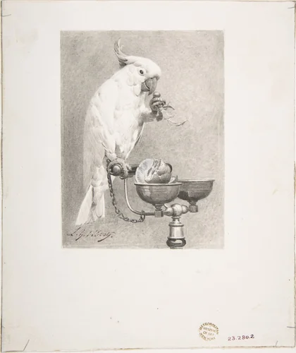 The Sedate Parrot by Jean-Georges Vibert, drawing, 1865-1902