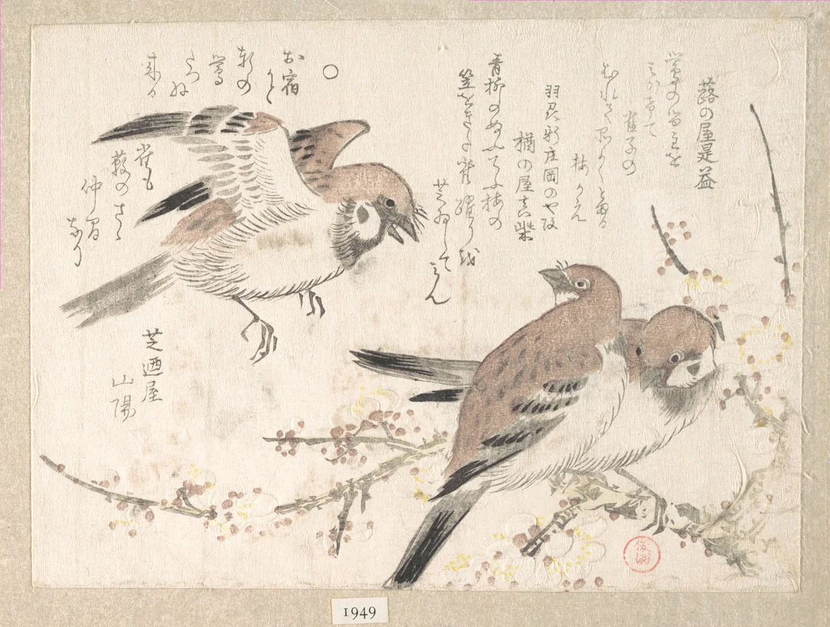 Sparrows and Plum Blossoms by Kubo Shunman (窪俊満), print, 1800-1899