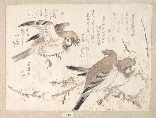 Sparrows and Plum Blossoms by Kubo Shunman (窪俊満), print, 1800-1899