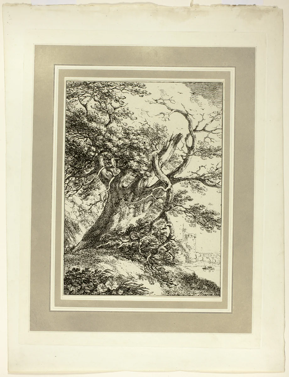 Old Tree, from the first issue of Specimens of Polyautography by Thomas Hearne, print, 1803