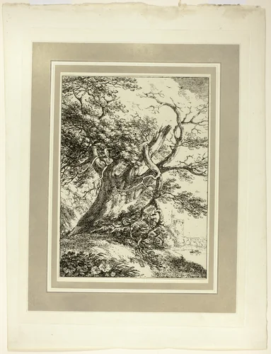 Old Tree, from the first issue of Specimens of Polyautography by Thomas Hearne, print, 1803