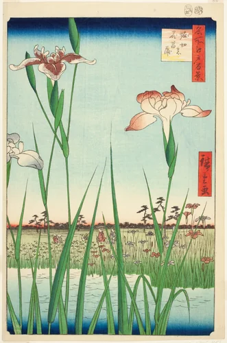 Irises at Horikiri (Horikiri no hanashobu), from the series "One Hundred Famous Views of Edo (Meisho Edo hyakkei)" by Utagawa Hiroshige (歌川広重), print, 1857