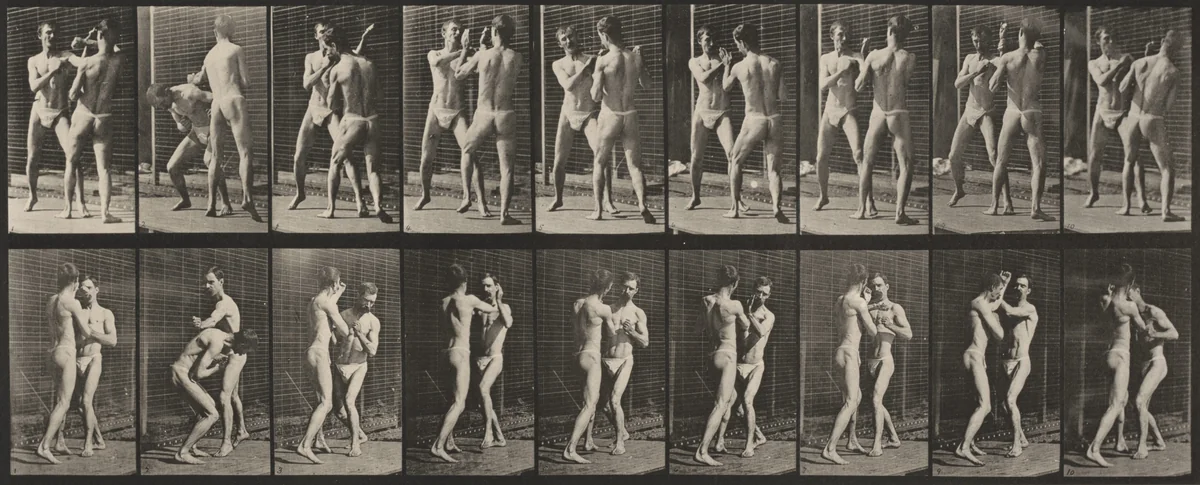 Plate Number 337. Boxing, open hand by Eadweard Muybridge, photograph, 1887