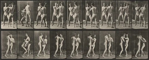Plate Number 337. Boxing, open hand by Eadweard Muybridge, photograph, 1887