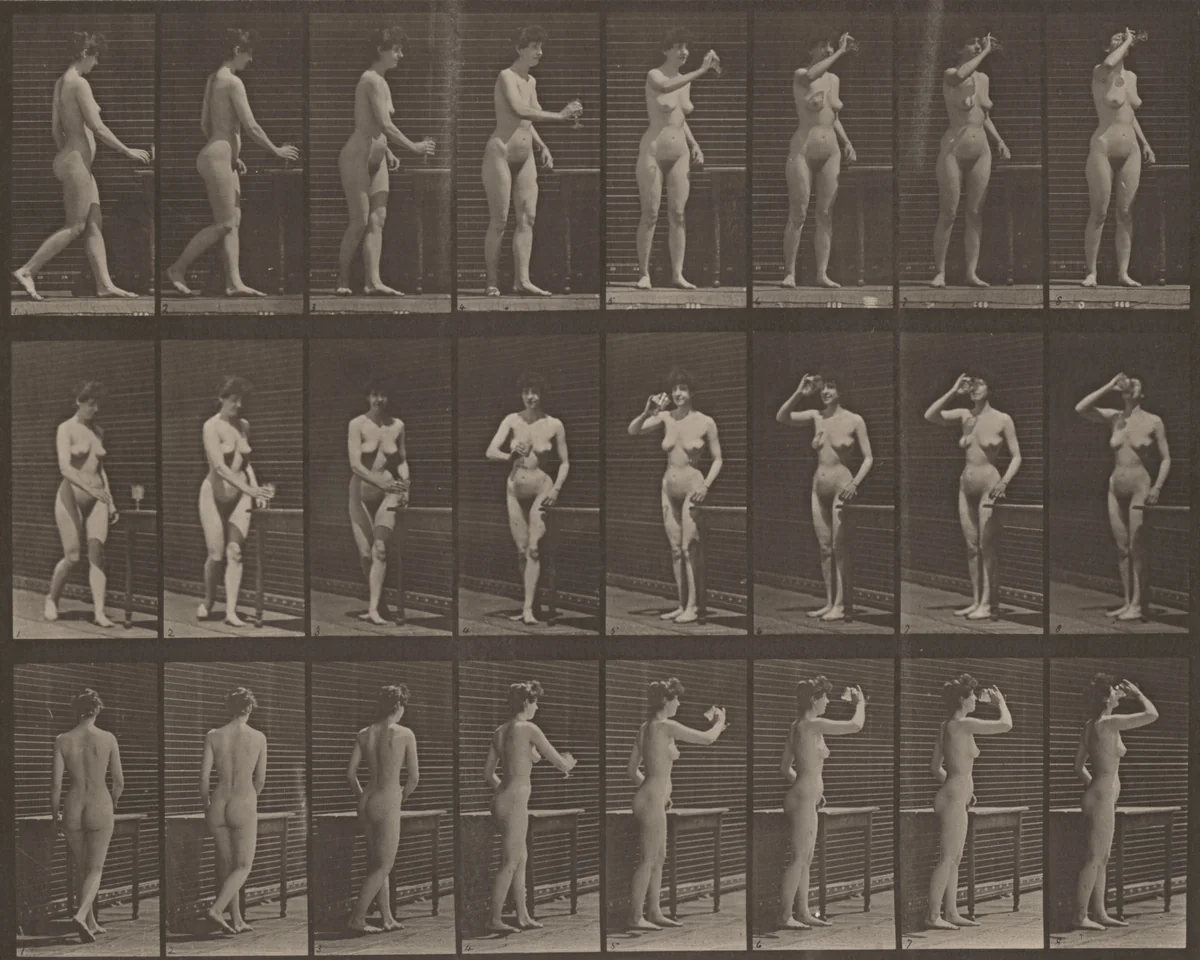 Plate Number 443. Drinking from a goblet while standing by Eadweard Muybridge, photograph, 1887