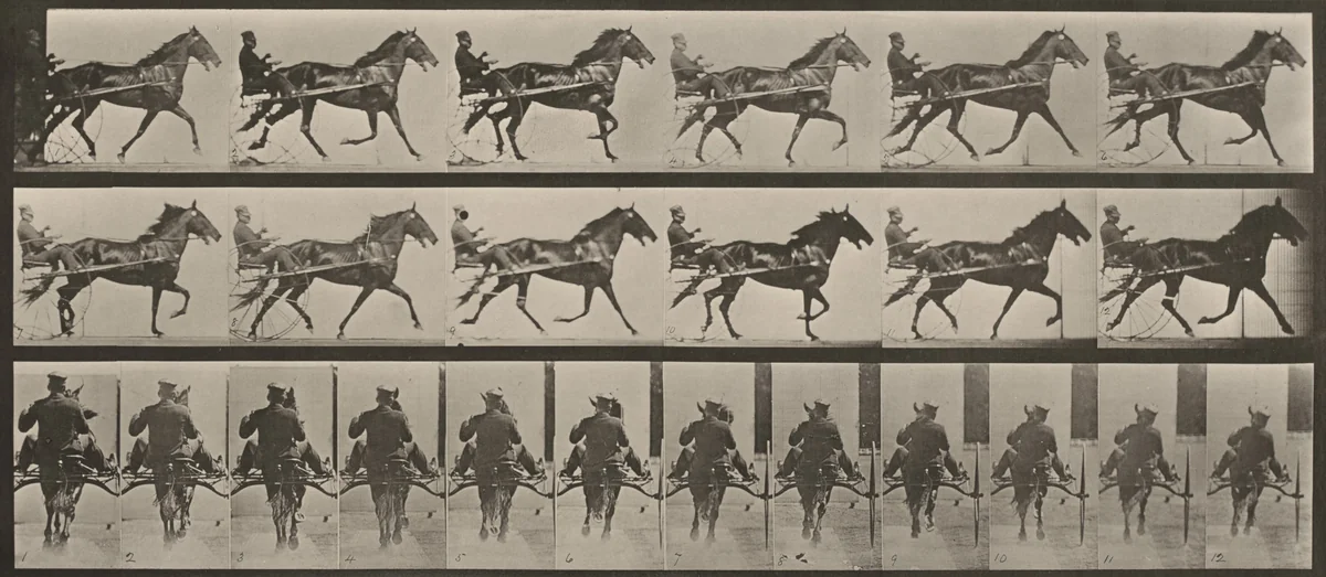Plate Number 594. "Pronto" pacing, harnessed to sulky by Eadweard Muybridge, photograph, 1887