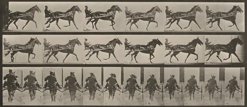 Plate Number 594. "Pronto" pacing, harnessed to sulky by Eadweard Muybridge, photograph, 1887