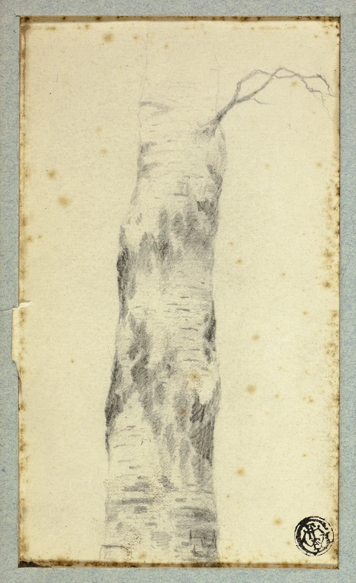 Sketch of Tree Trunk by Hendrik Pieter Koekkoek, drawing, 1872-1883