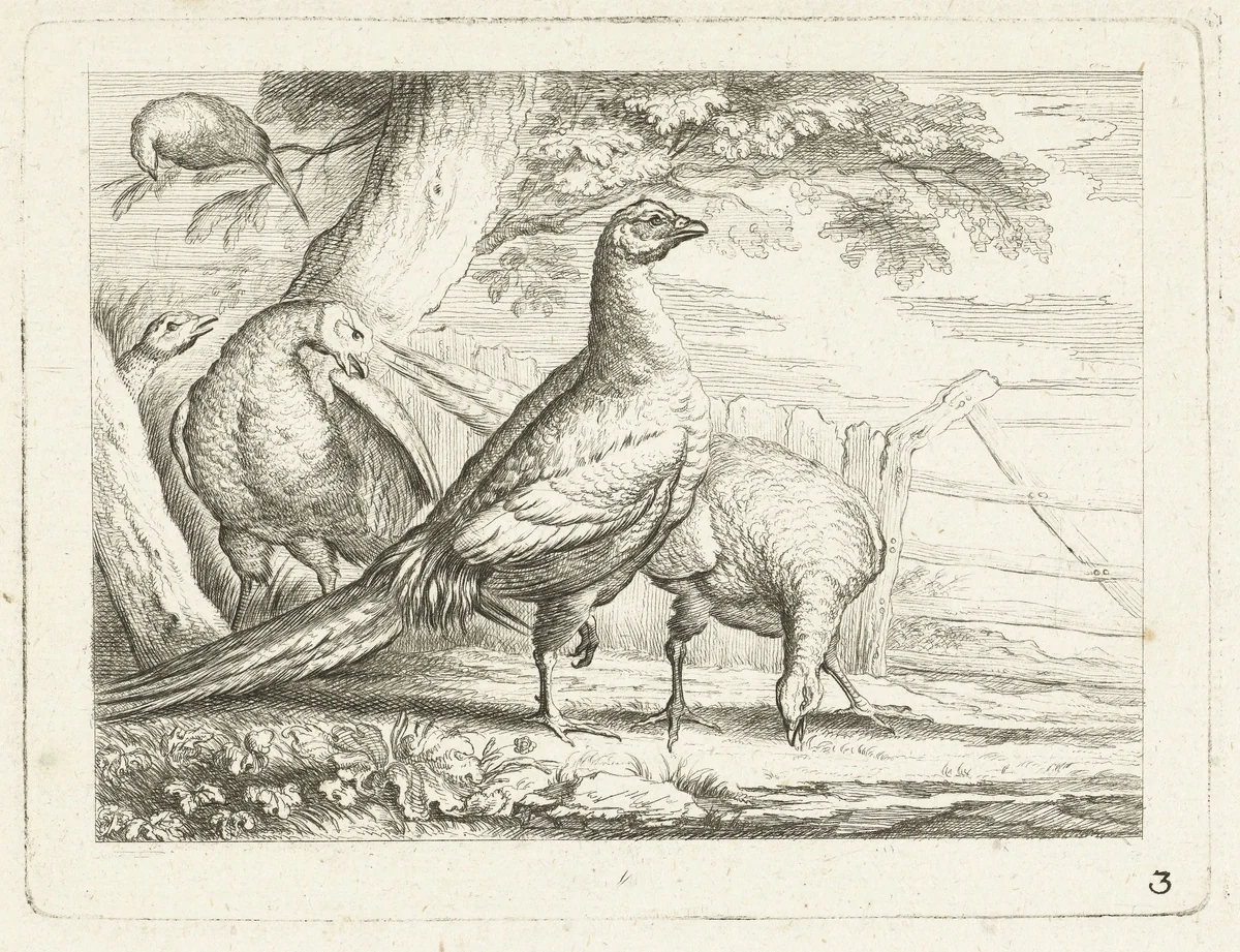 Pikkende hoenders by anonymous, print, 1700-1749