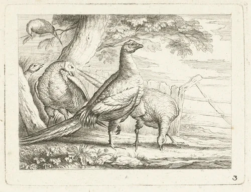 Pikkende hoenders by anonymous, print, 1700-1749