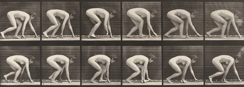 Plate Number 183. Walking on hands and feet by Eadweard Muybridge, photograph, 1887