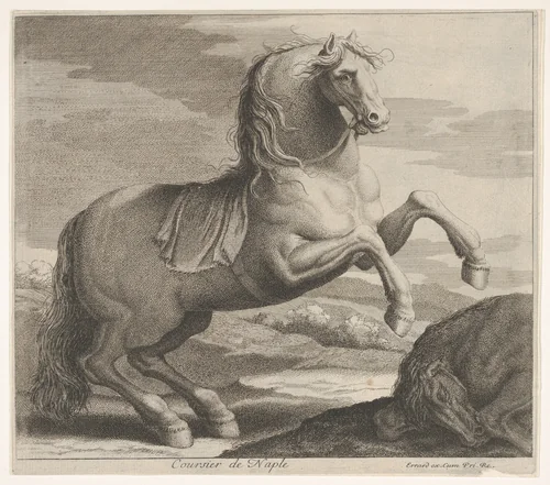 Coursier de Naple by Charles Errard le fils, print, 1606-1689