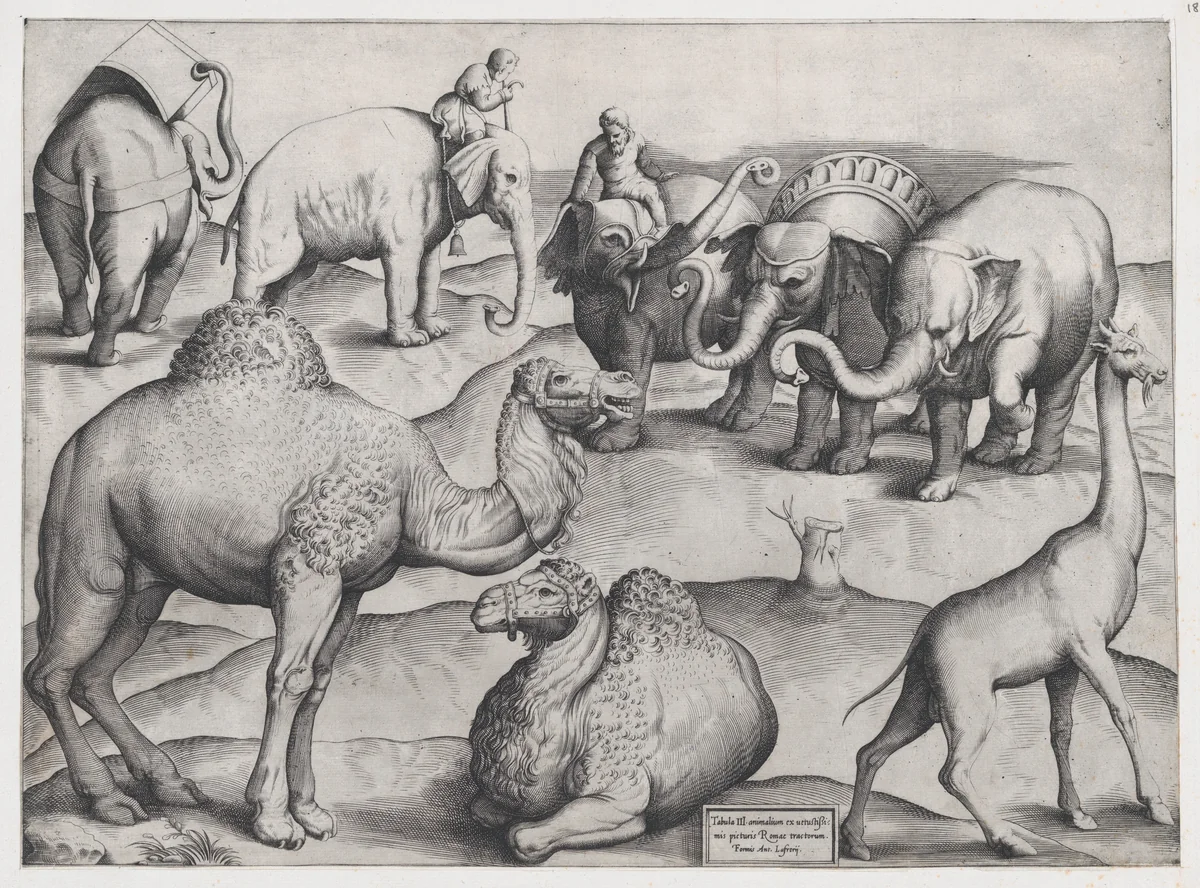 Wild Animals, from antique wall paintings, plate 3, from "Speculum Romanae Magnificentiae" by anonymous, print, 1547
