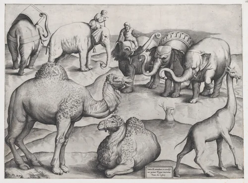 Wild Animals, from antique wall paintings, plate 3, from "Speculum Romanae Magnificentiae" by anonymous, print, 1547