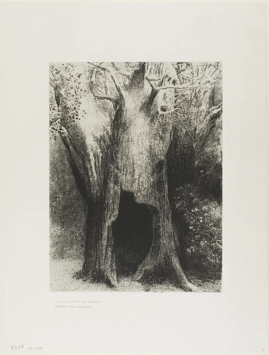 I Plunged into Solitude. I Dwelt in the Tree behind Me, plate 9 of 24 by Odilon Redon, print, 1896