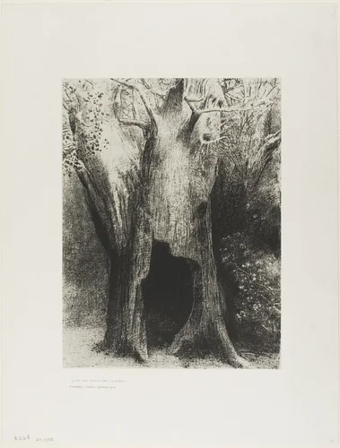 I Plunged into Solitude. I Dwelt in the Tree behind Me, plate 9 of 24 by Odilon Redon, print, 1896
