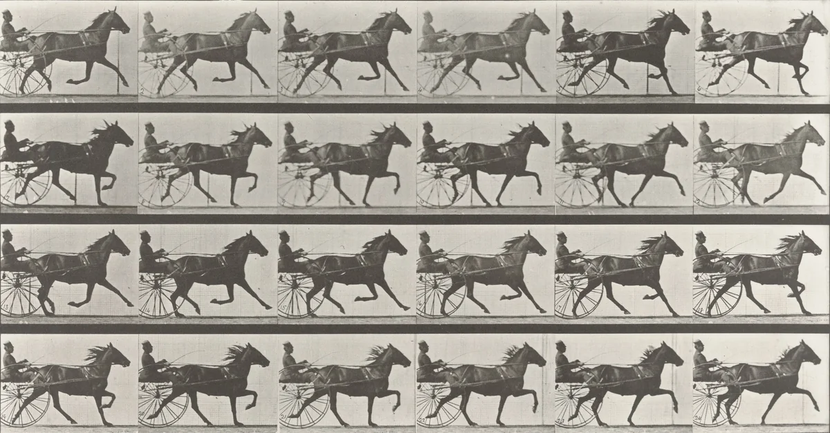 "Lizzie M." Trotting, Harnessed to Sulky: Plate 609 from Animal Locomotion (1887) by Eadweard Muybridge, photograph, 1884