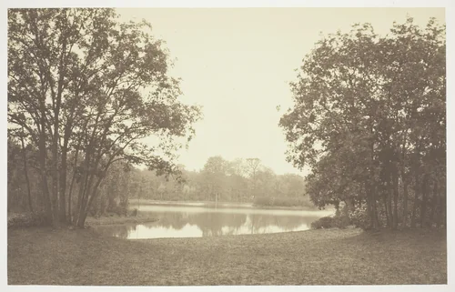 Untitled, from the series "Bois de Boulogne" by Charles Marville, photograph, 1845-1855