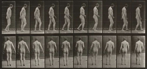 Plate Number 553. Spastic, walking by Eadweard Muybridge, photograph, 1887