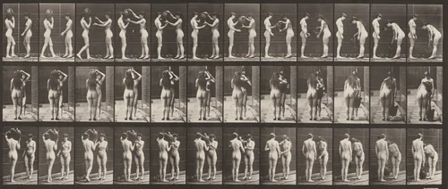 Plate Number 447. Woman taking a water jar from the shoulder of another woman by Eadweard Muybridge, photograph, 1887