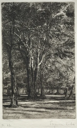 Kensington Gardens (The Larger Plate) by Francis Seymour-Haden, print, 1860