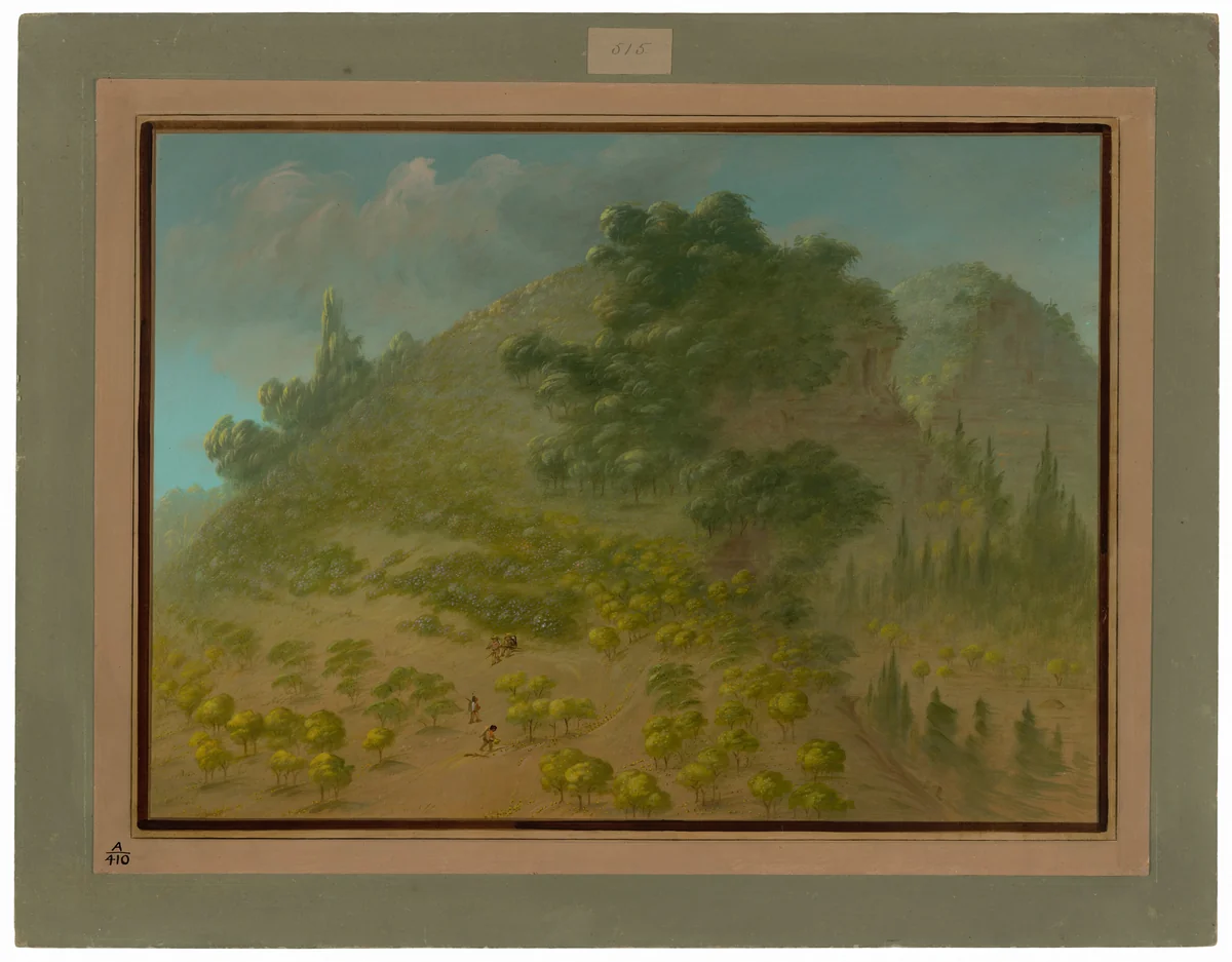Rhododendron Mountain by George Catlin, painting, 1854-1869