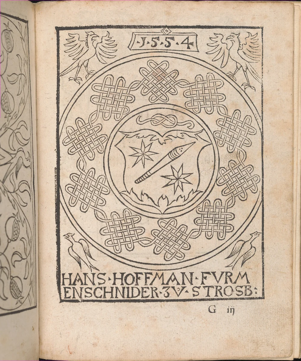 New Modelbüch allen Nägerin u. Sydenstickern (Page 27r) by Hans Hoffman, book, 1556