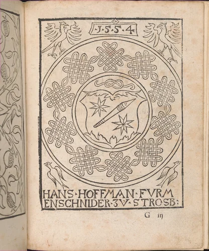 New Modelbüch allen Nägerin u. Sydenstickern (Page 27r) by Hans Hoffman, book, 1556