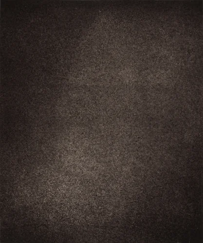 Région Central (Granulations), September 2, 1886, 7h 22m 10s by Jules Janssen, photograph, 1877