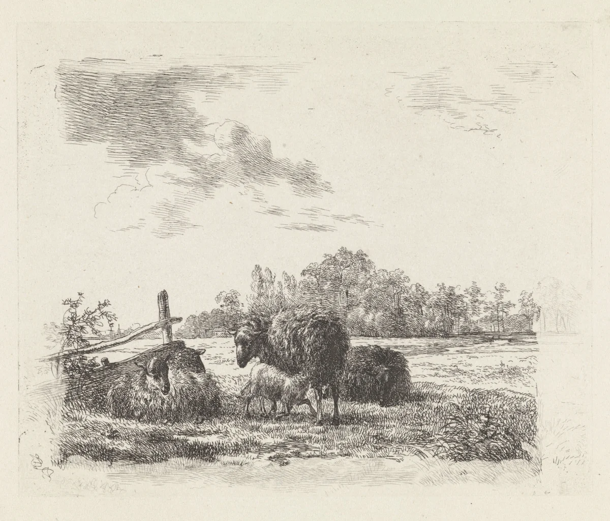 Weide met schapen by Hendrikus van de Sande Bakhuyzen, print, 1805-1860
