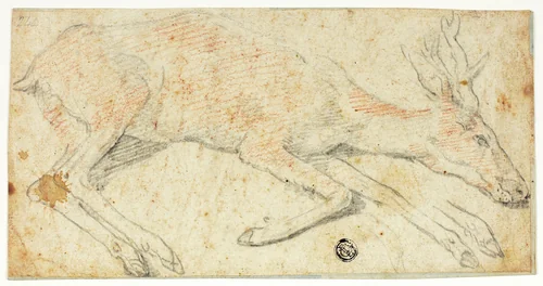 Recumbent Deer by Federico Zuccaro, drawing, 1560-1609