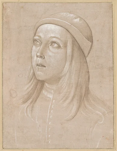 Head of a Youth Looking Up by Pinturicchio, drawing, 1485