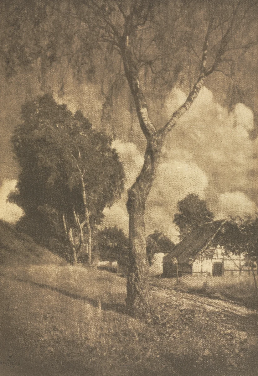 Camera Work: Pomeranian Motif by Hugo Henneberg, book, 1906